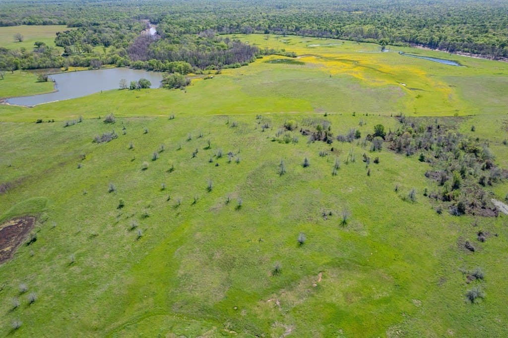 10.01 acres in ANDERSON County - photo 9