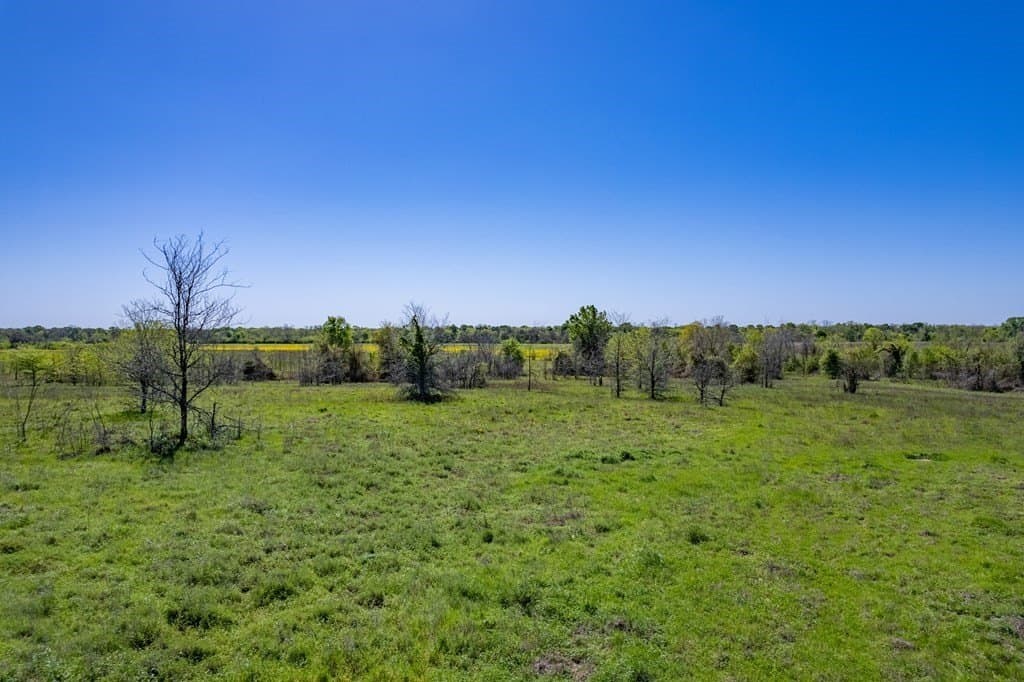 10.01 acres in ANDERSON County - photo 13