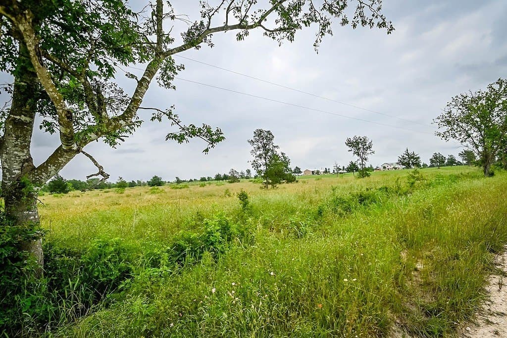LOT 5 000 County Road 451