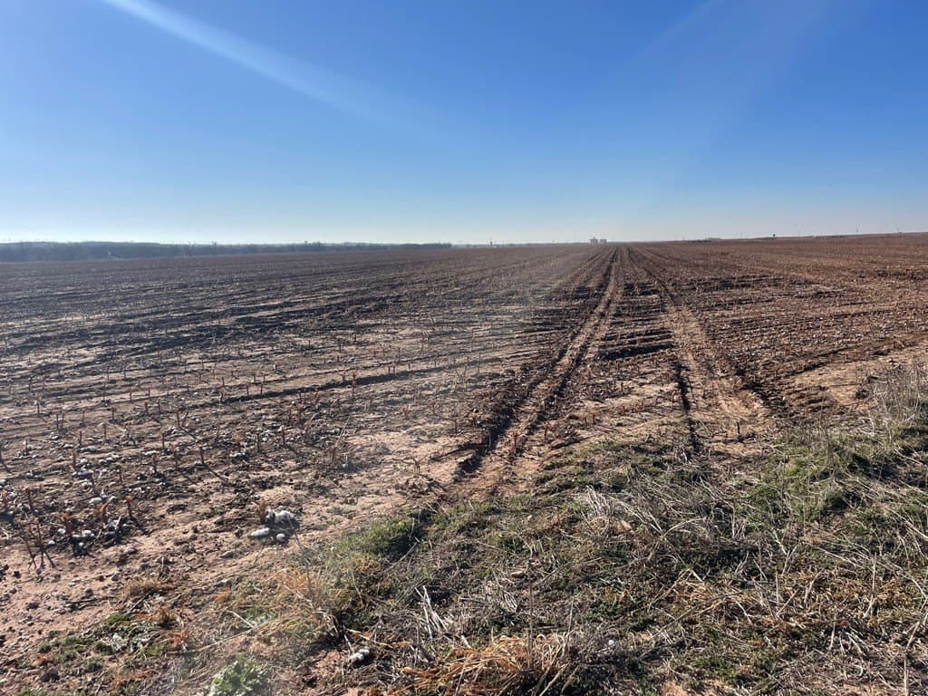 770 acres in Scurry County - photo 2