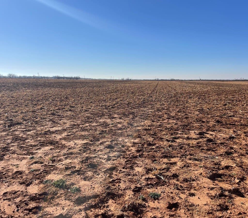 770 acres in Scurry County - photo 3