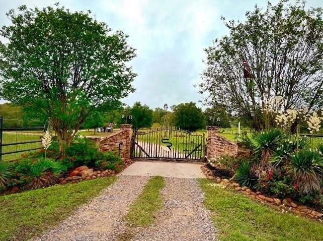 185 acres in Brazos County - photo 6