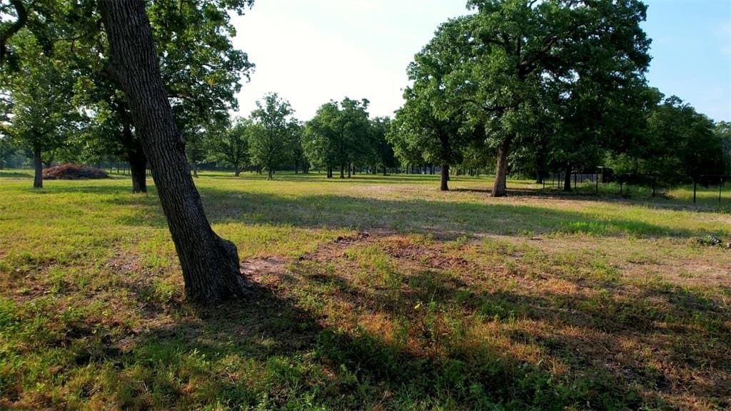 185 acres in Brazos County - photo 26
