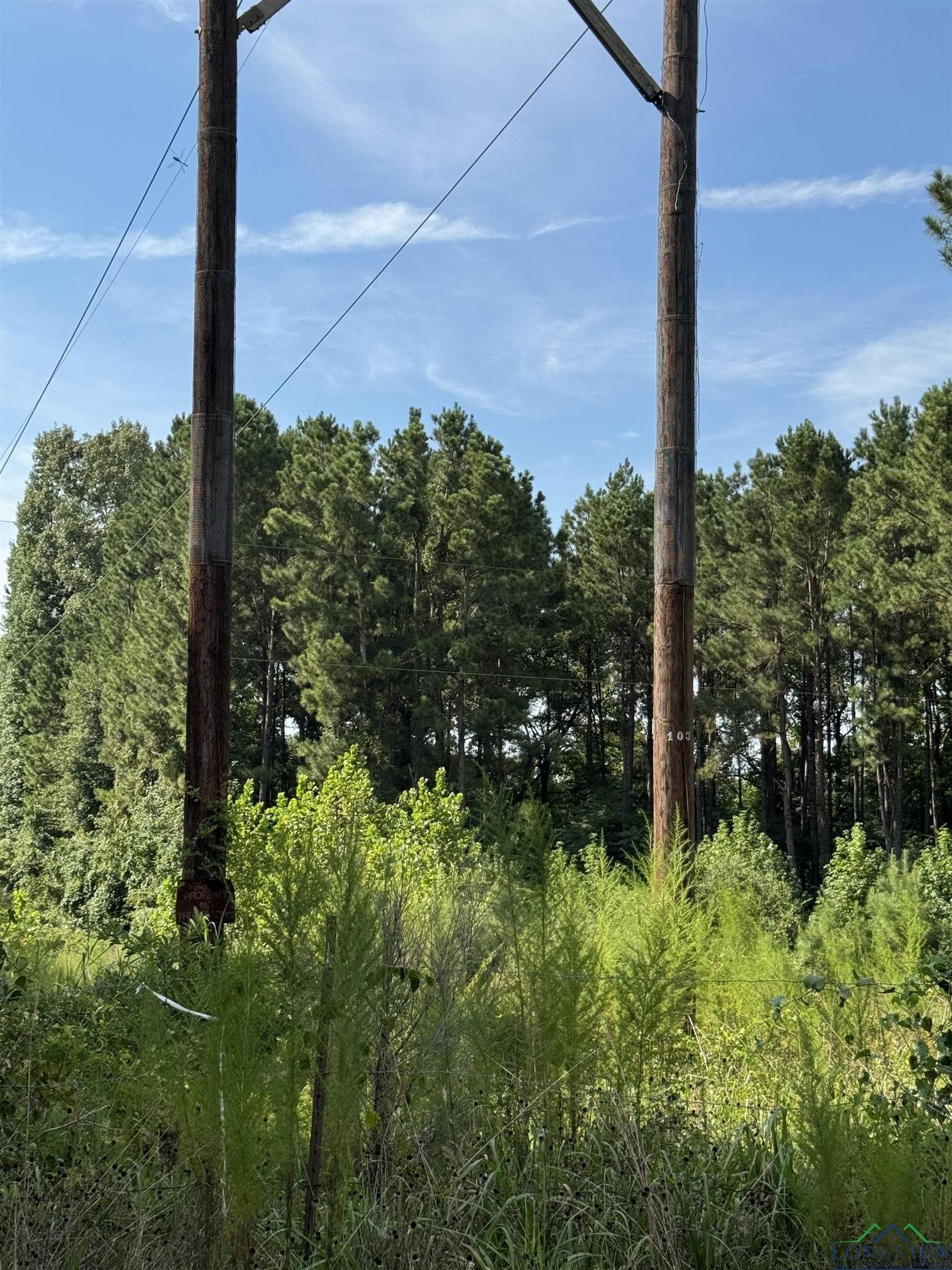 19.63 acres in Texas County - photo 3