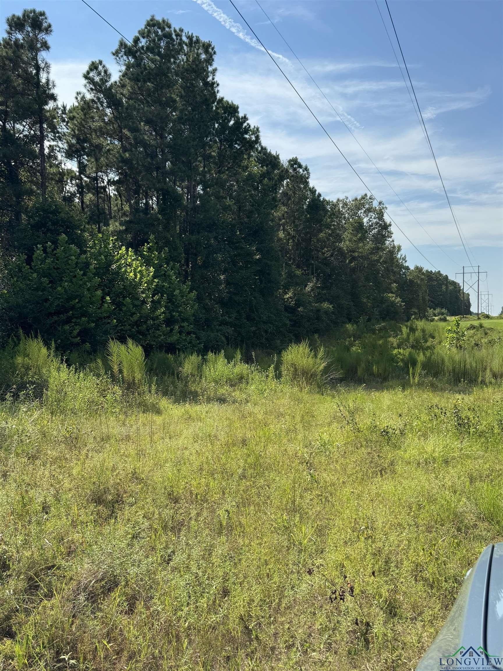 19.63 acres in Texas County - photo 9