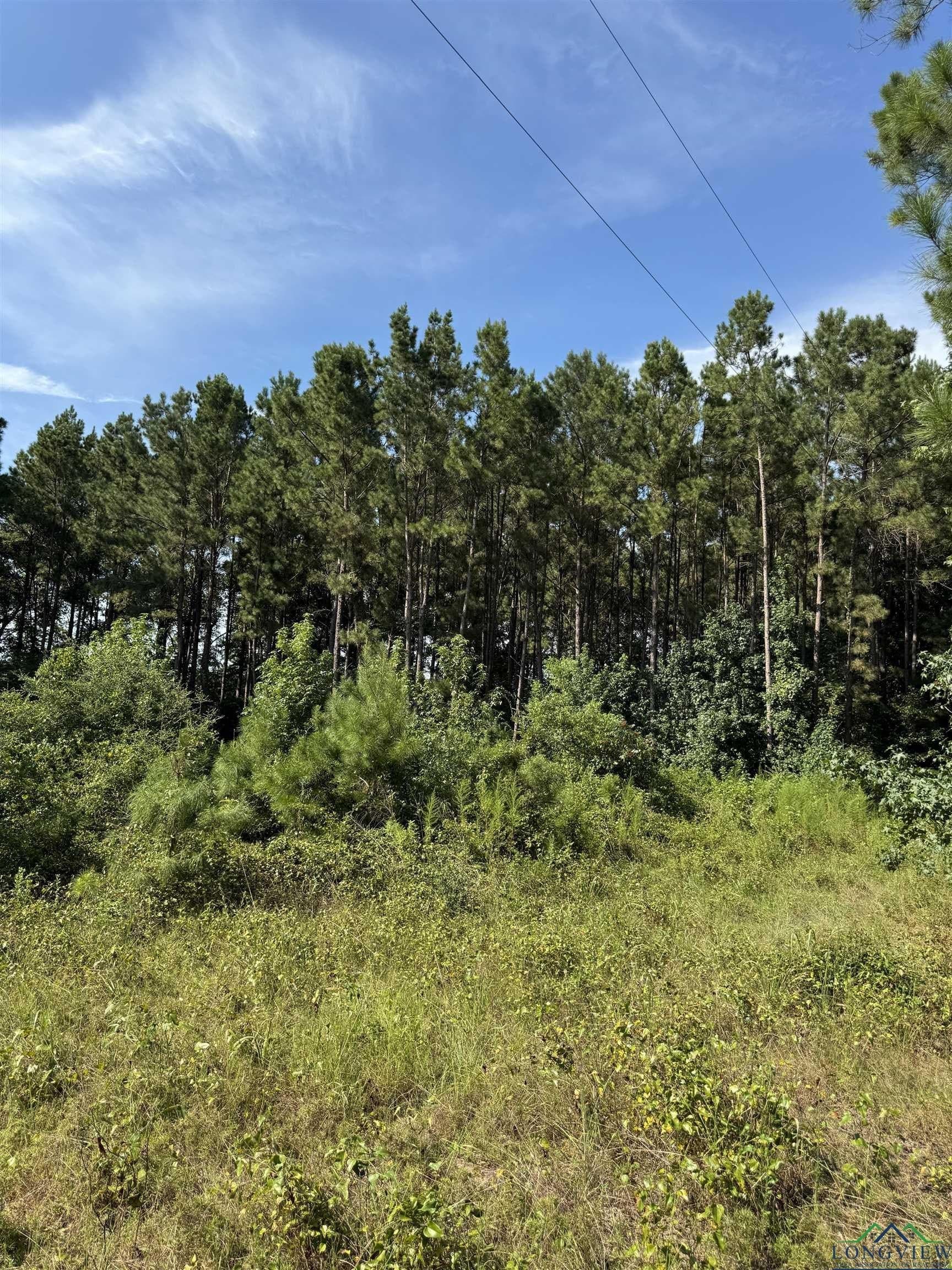 Tbd County RD 448