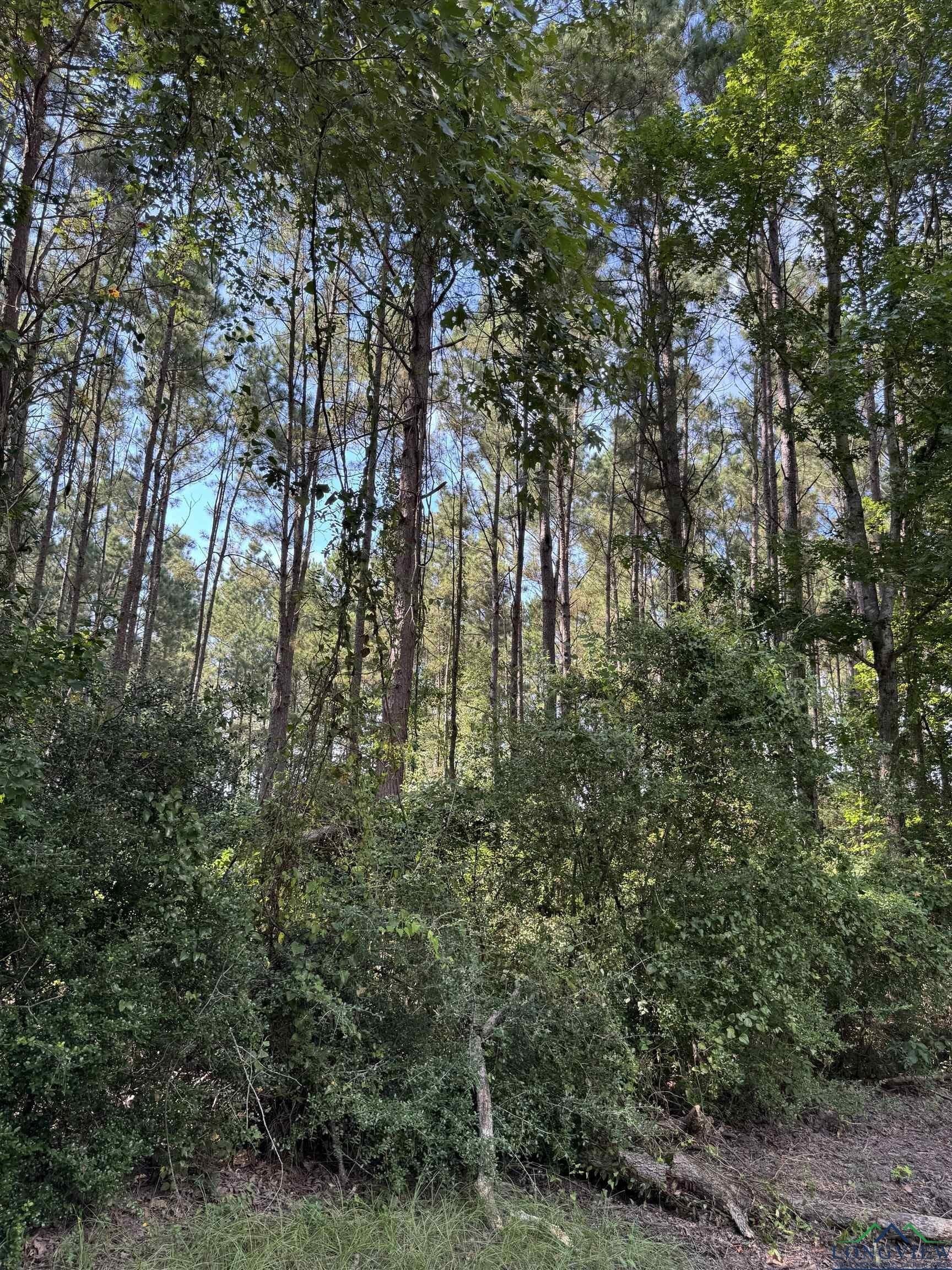 19.63 acres in Texas County - photo 10