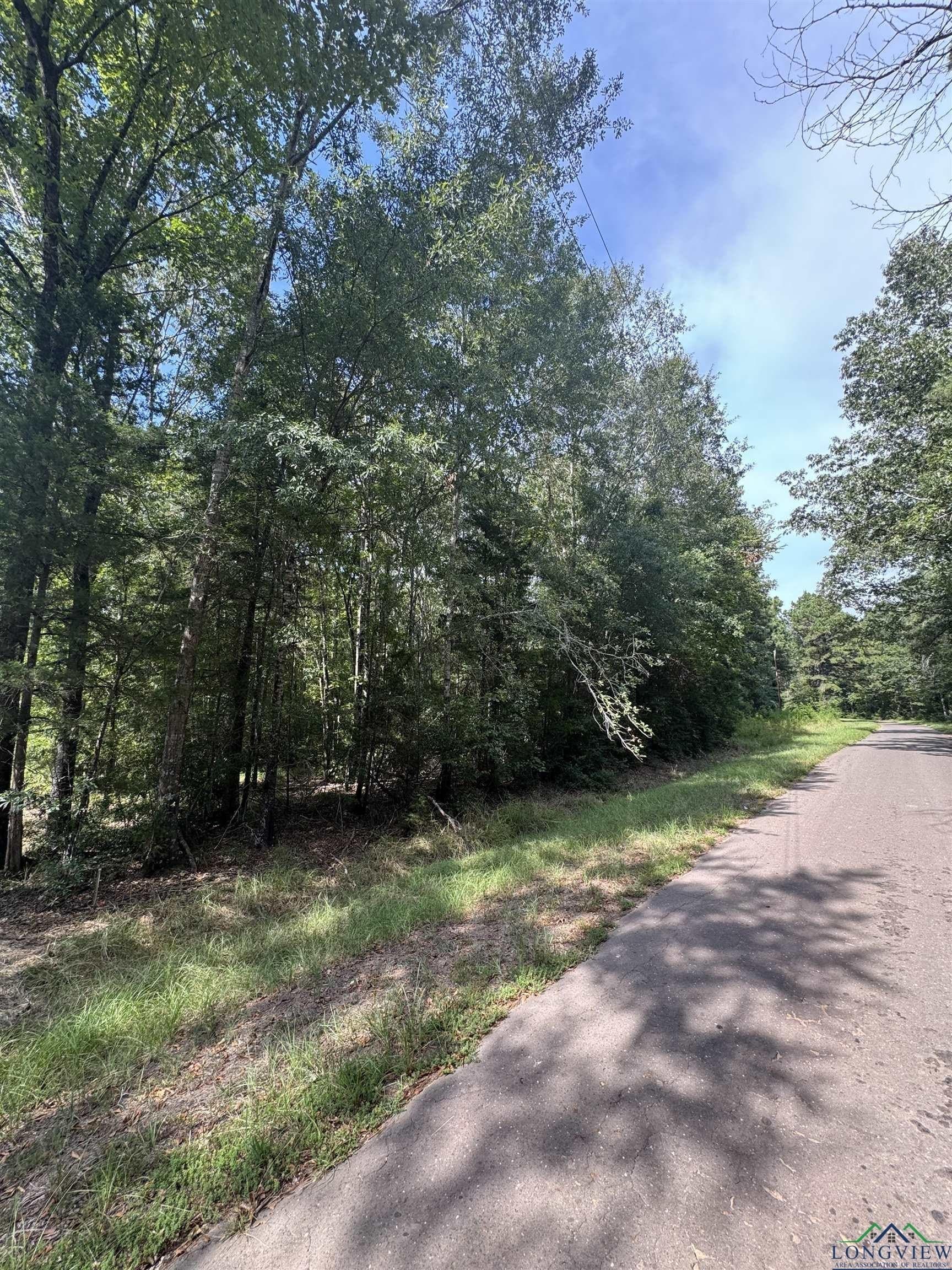 19.63 acres in Texas County - photo 6