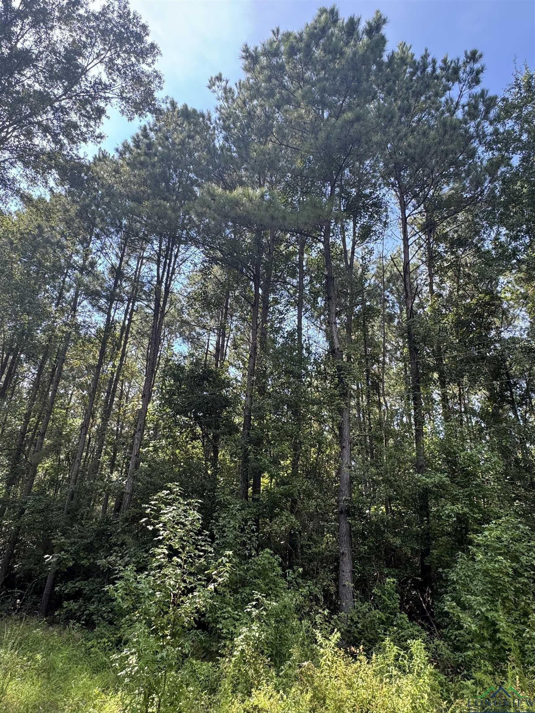 19.63 acres in Texas County - photo 7