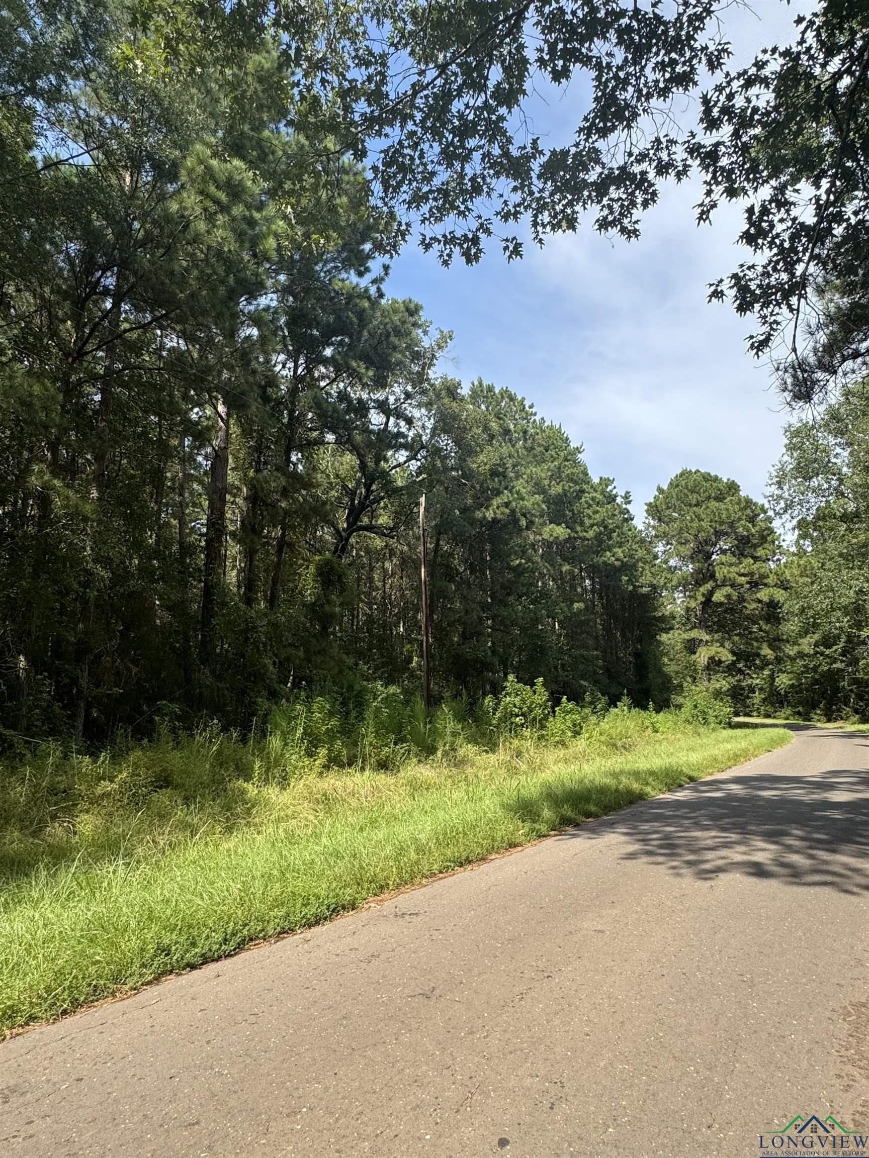 19.63 acres in Texas County - photo 4