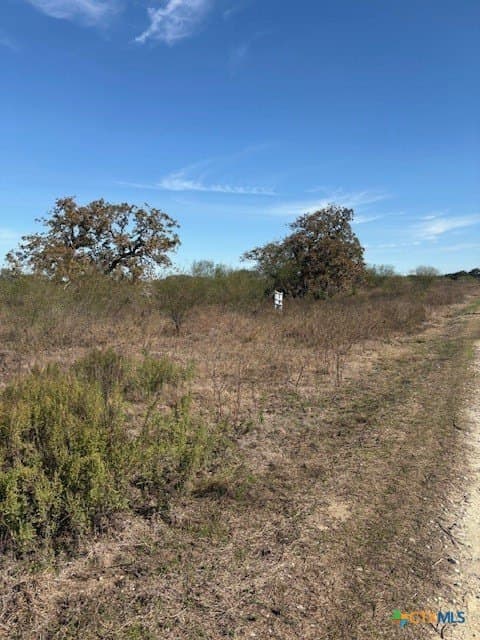 15 acres in Goliad County - photo 3