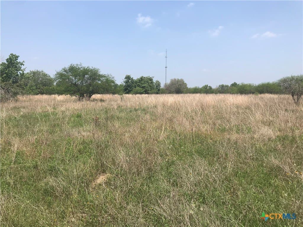 15 acres in Goliad County - photo 11