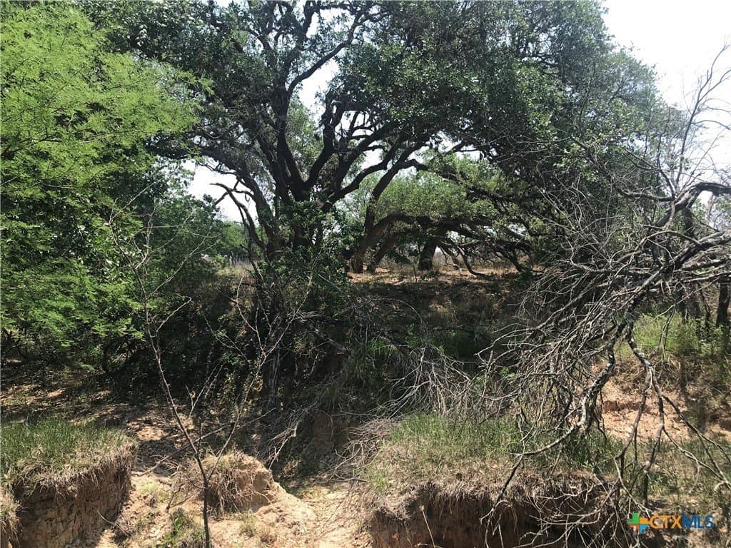 15 acres in Goliad County - photo 9