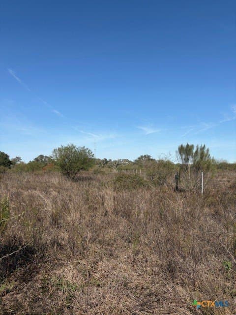 15 acres in Goliad County - photo 6