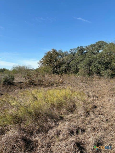 15 acres in Goliad County - photo 4