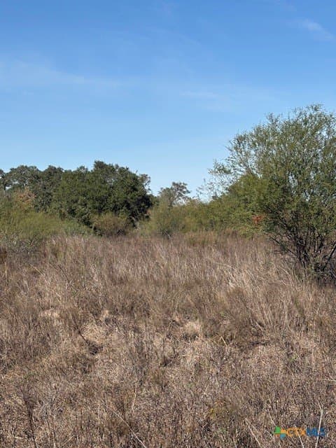 15 acres in Goliad County - photo 7