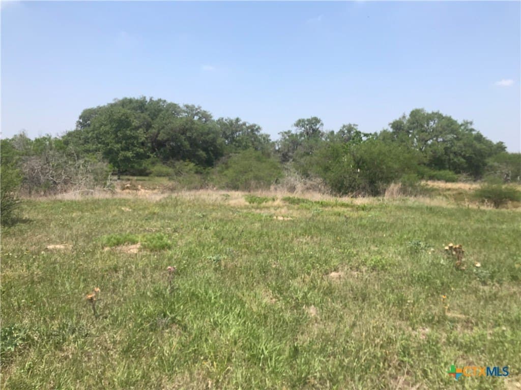 15 acres in Goliad County - photo 12