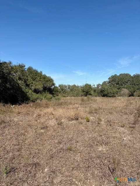 15 acres in Goliad County - photo 5