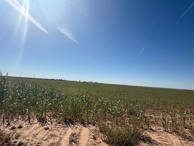 47 acres in Howard County - photo 8