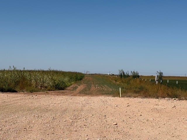 47 acres in Howard County - photo 11