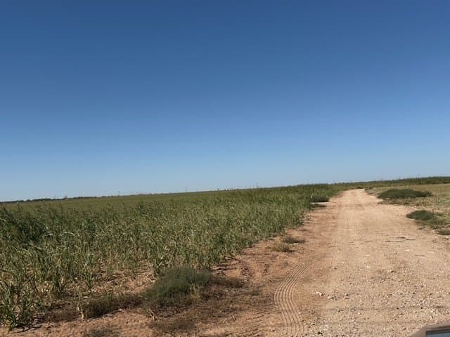 47 acres in Howard County - photo 4