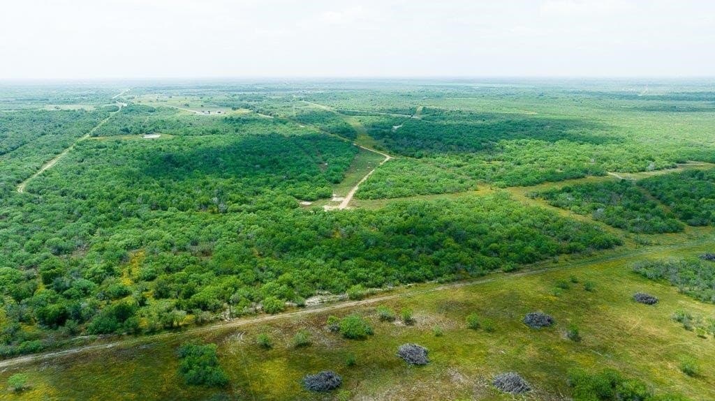 140.06 acres in Refugio County - photo 16