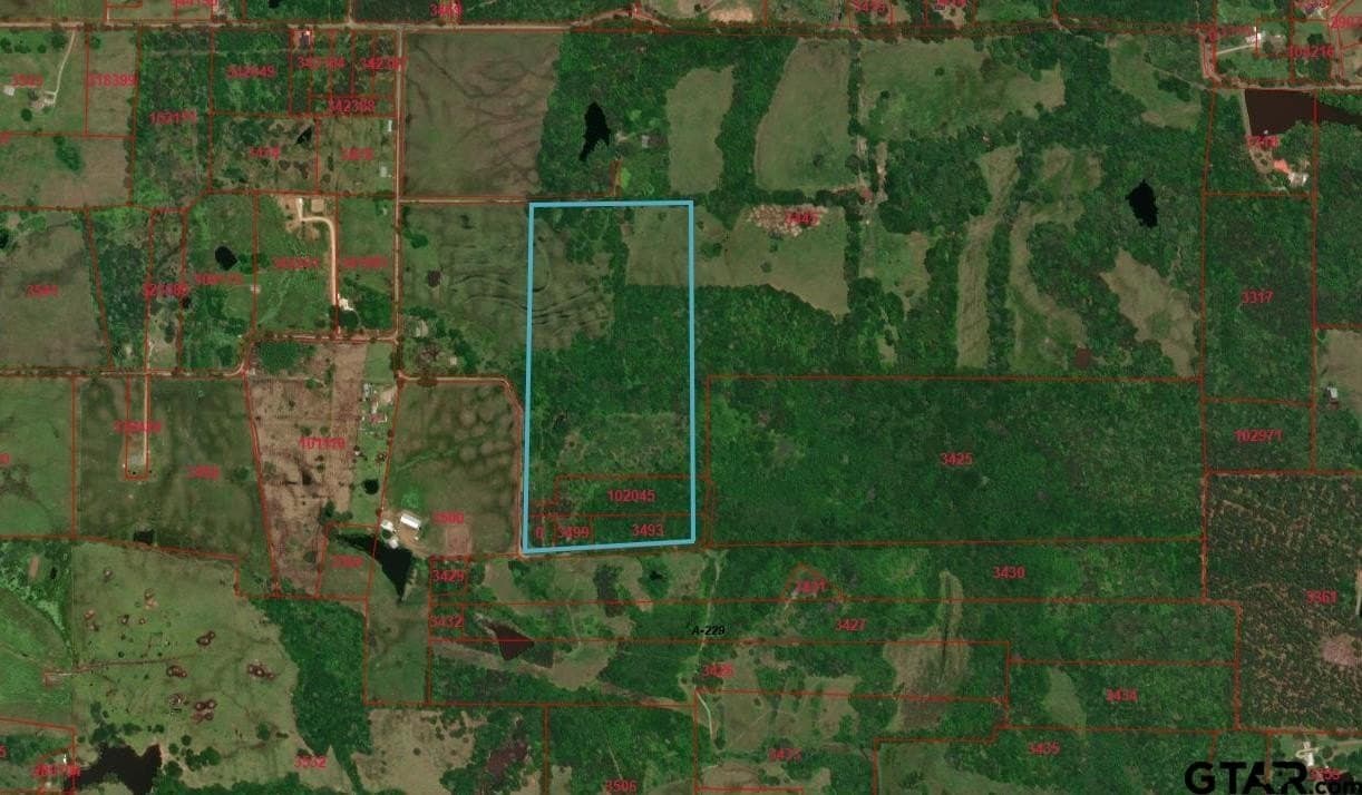 47.7 acres in Titus County - photo 4