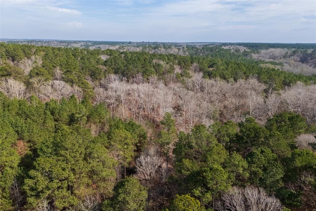 86.5 acres in Shelby County - photo 11