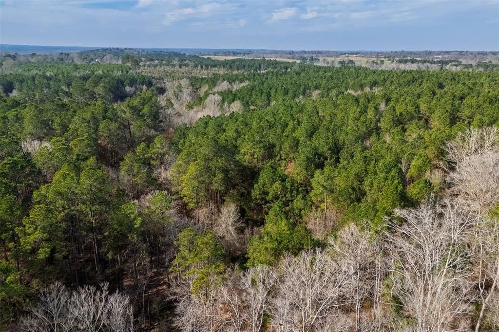 86.5 acres in Shelby County - photo 12