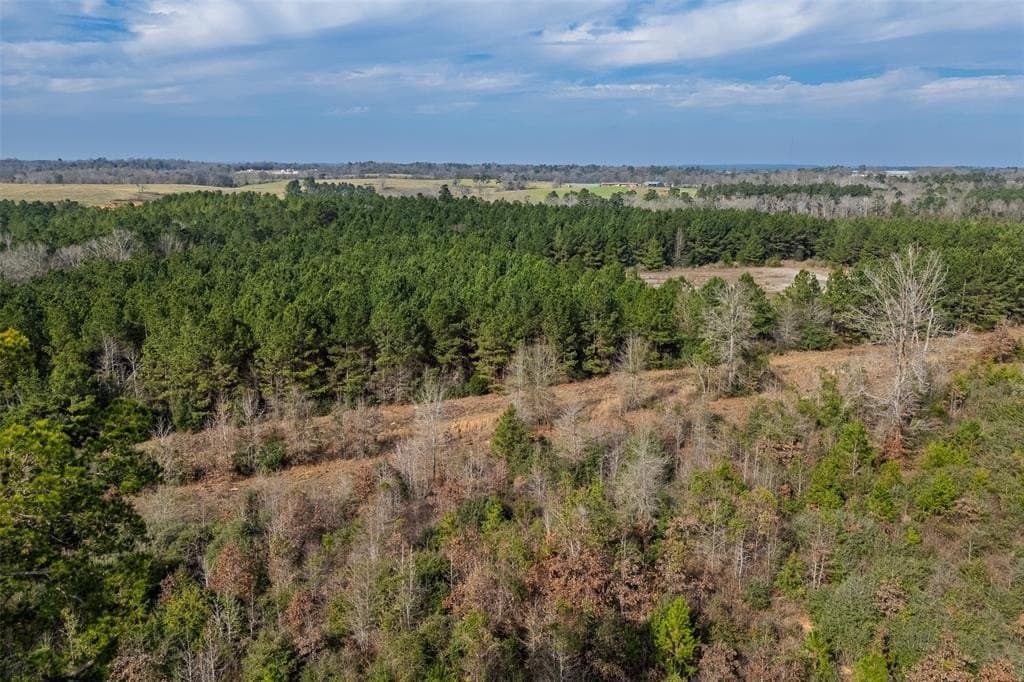 86.5 acres in Shelby County - photo 7