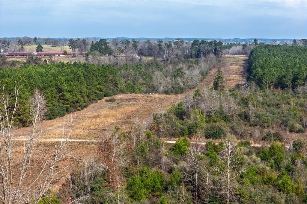 86.5 acres in Shelby County - photo 5