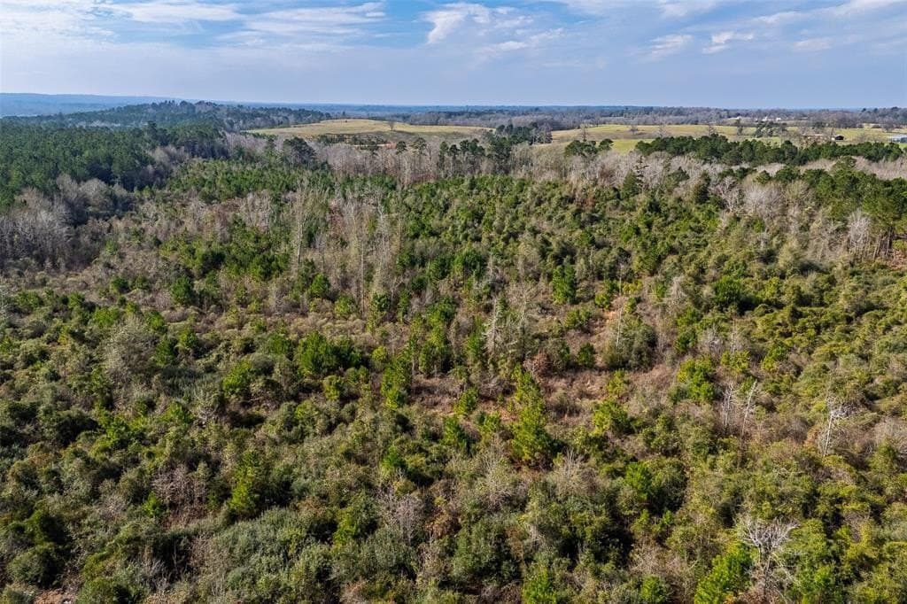86.5 acres in Shelby County - photo 22