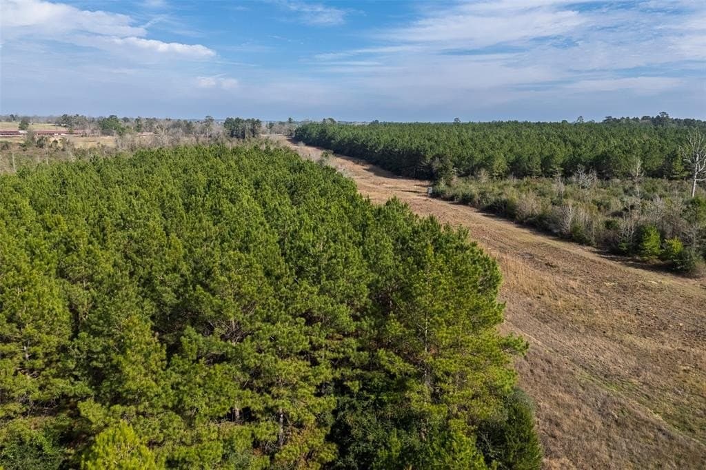 000 County Road 1245