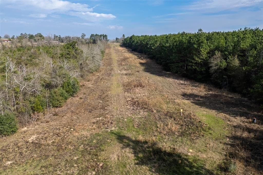 86.5 acres in Shelby County - photo 2