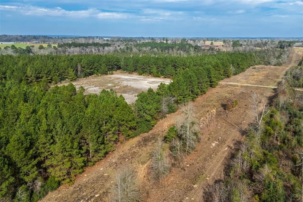 86.5 acres in Shelby County - photo 4