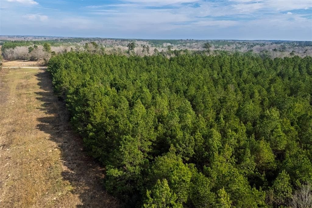 86.5 acres in Shelby County - photo 3