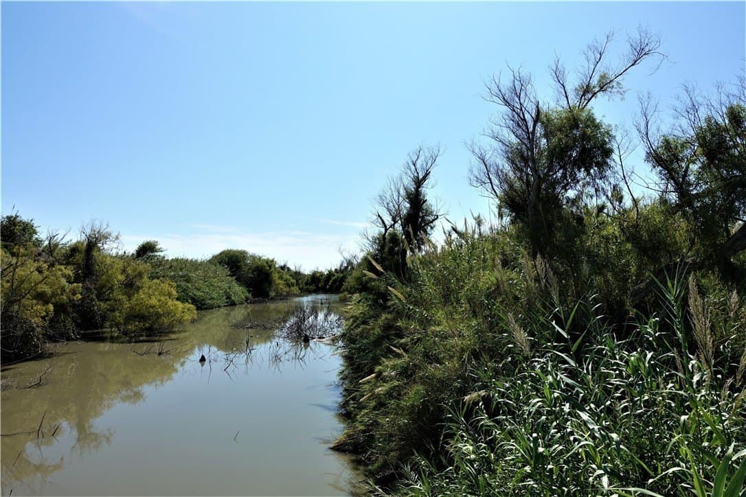 80 acres in San Patricio County - photo 5