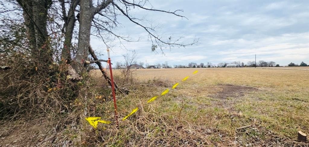 5 acres in Lamar County - photo 4