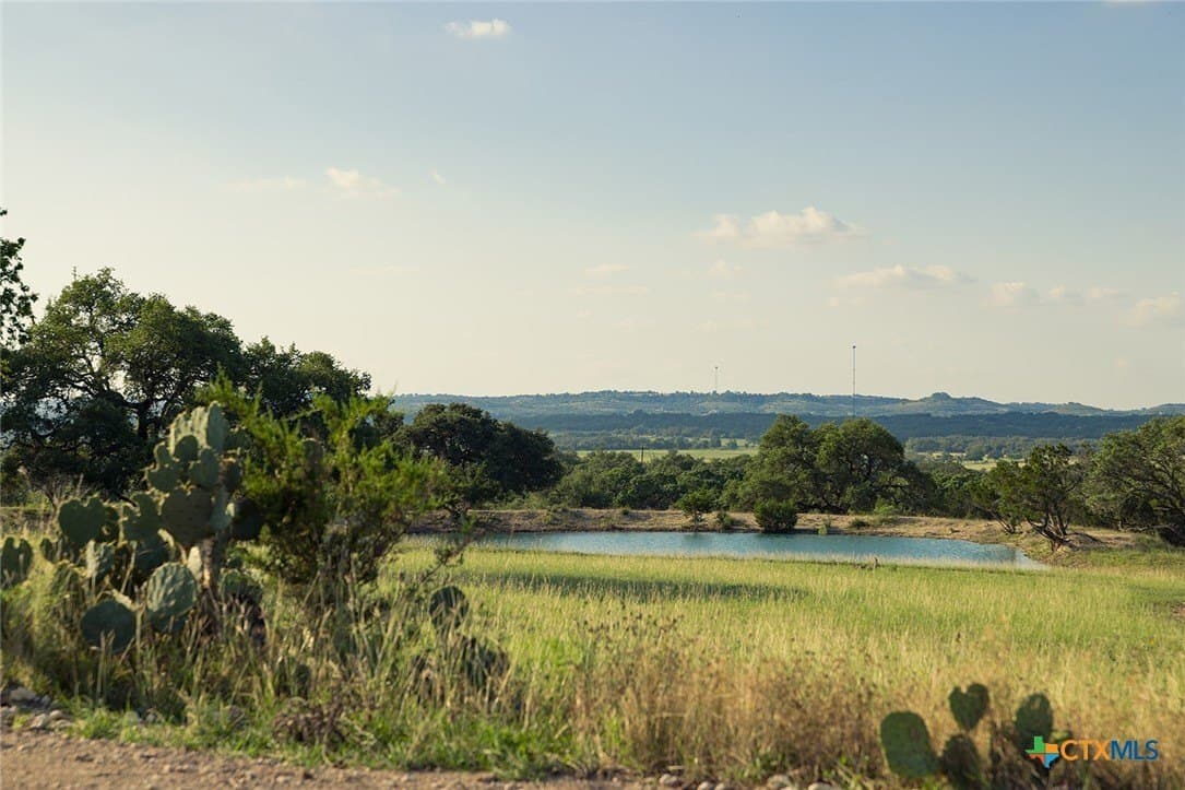 98.73 acres in Blanco County - photo 19