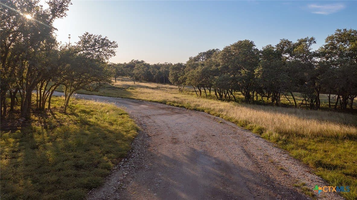98.73 acres in Blanco County - photo 4