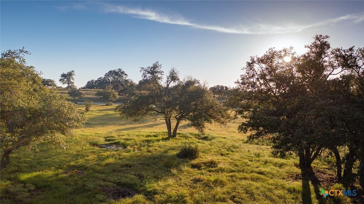 98.73 acres in Blanco County - photo 5