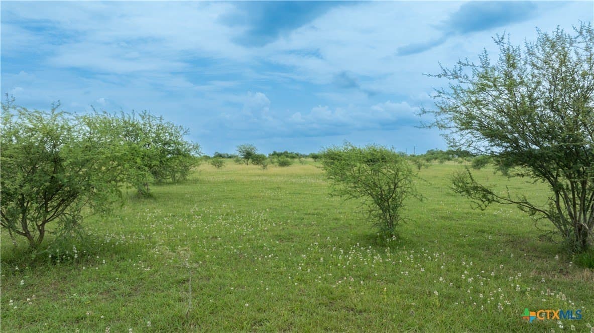 10.01 acres in DeWitt County - photo 18