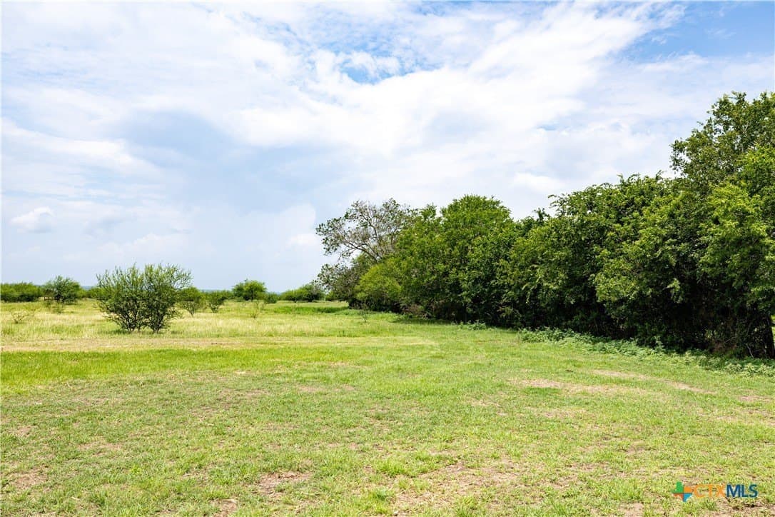 10.01 acres in DeWitt County - photo 3