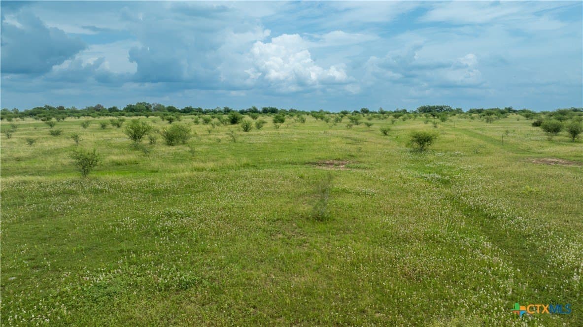10.01 acres in DeWitt County - photo 22