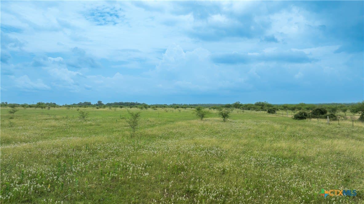 10.01 acres in DeWitt County - photo 5