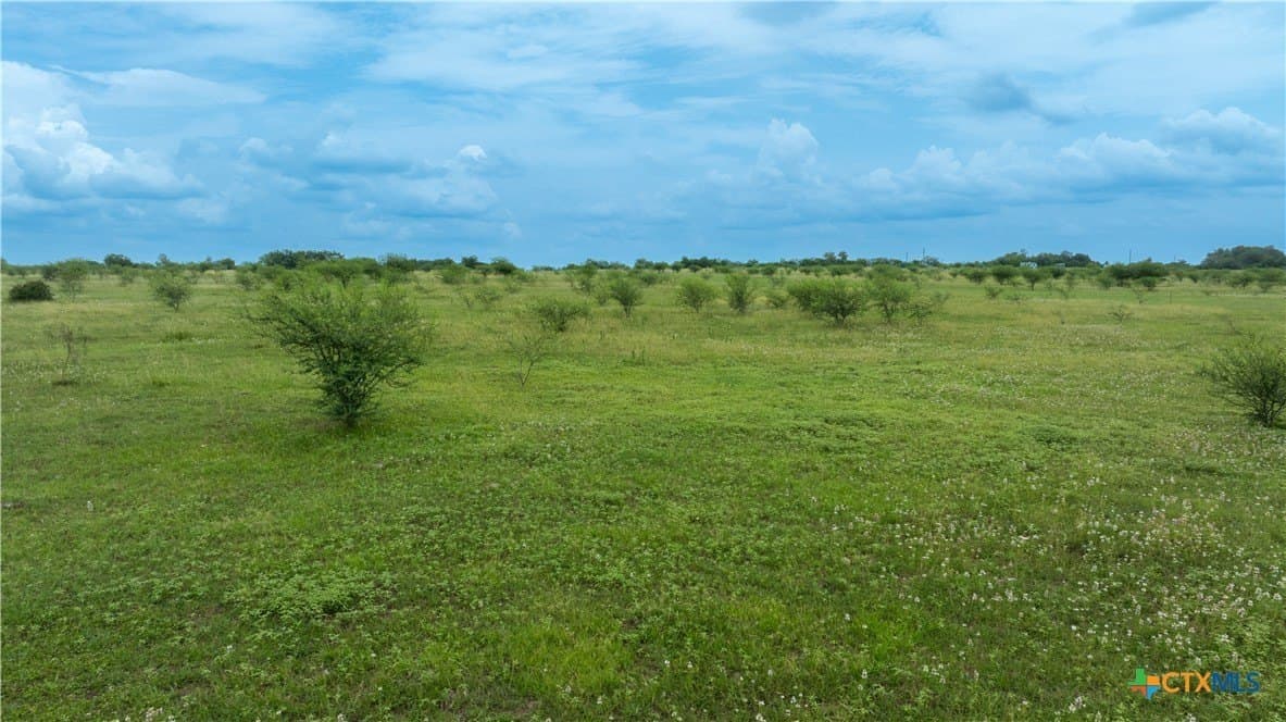 10.01 acres in DeWitt County - photo 10