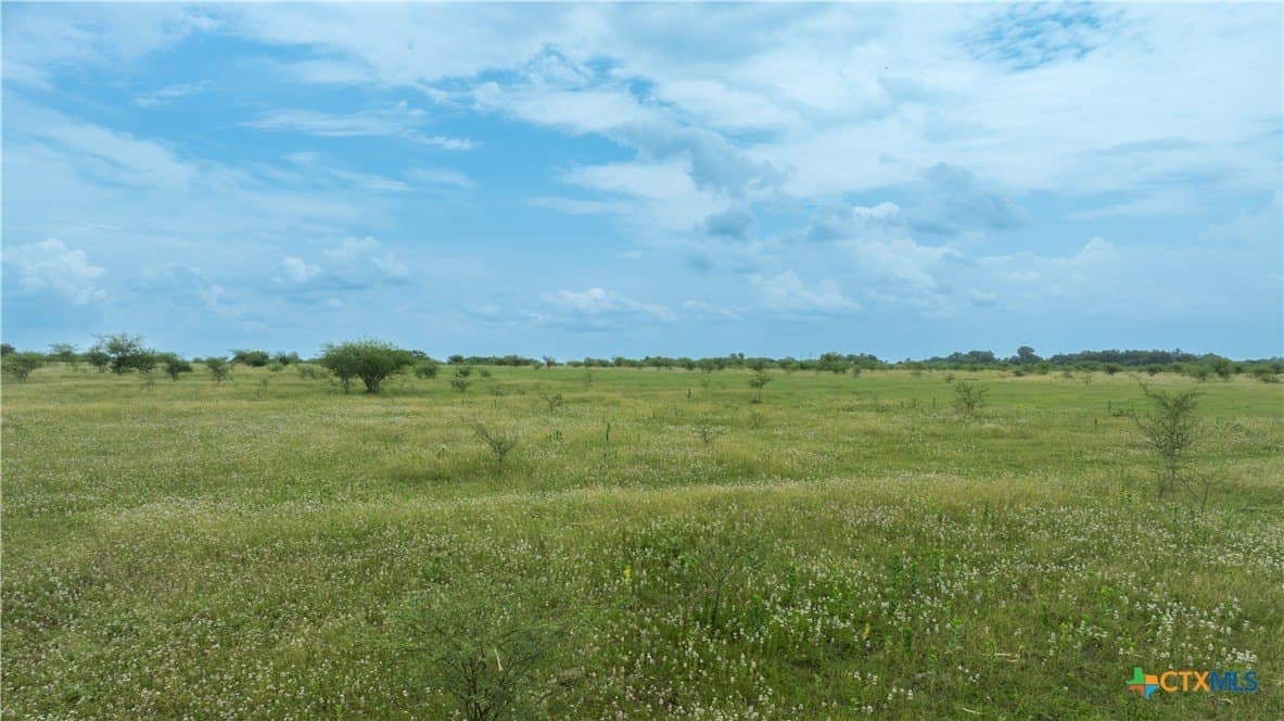10.01 acres in DeWitt County - photo 2