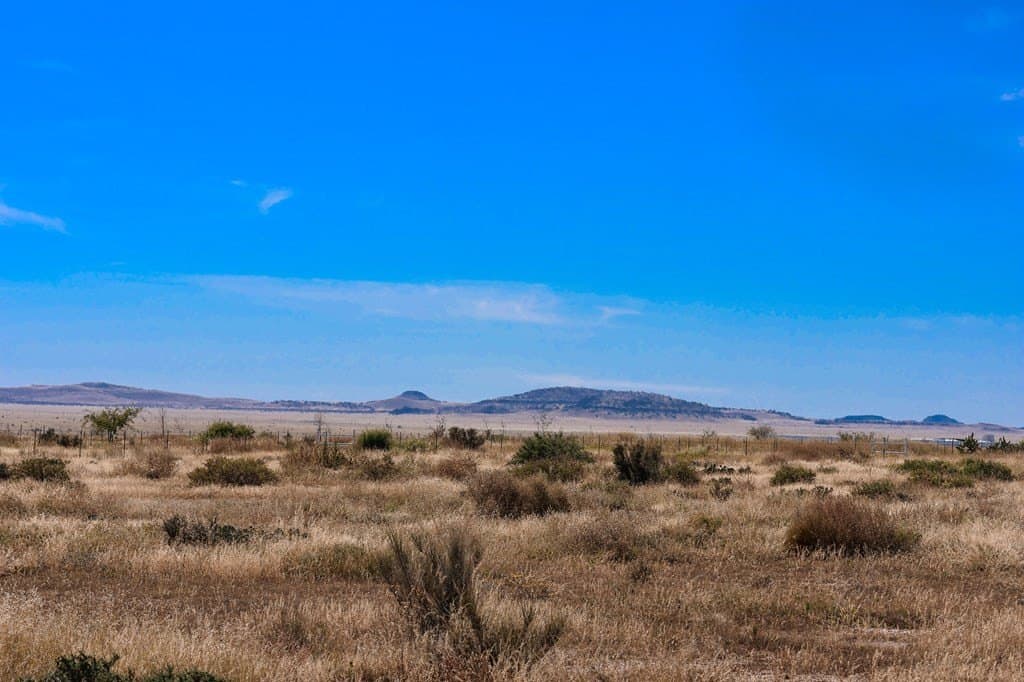 2.33 acres in Jeff Davis County - photo 4
