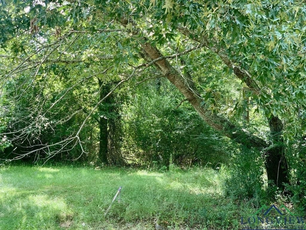5.31 acres in Harrison County - photo 3