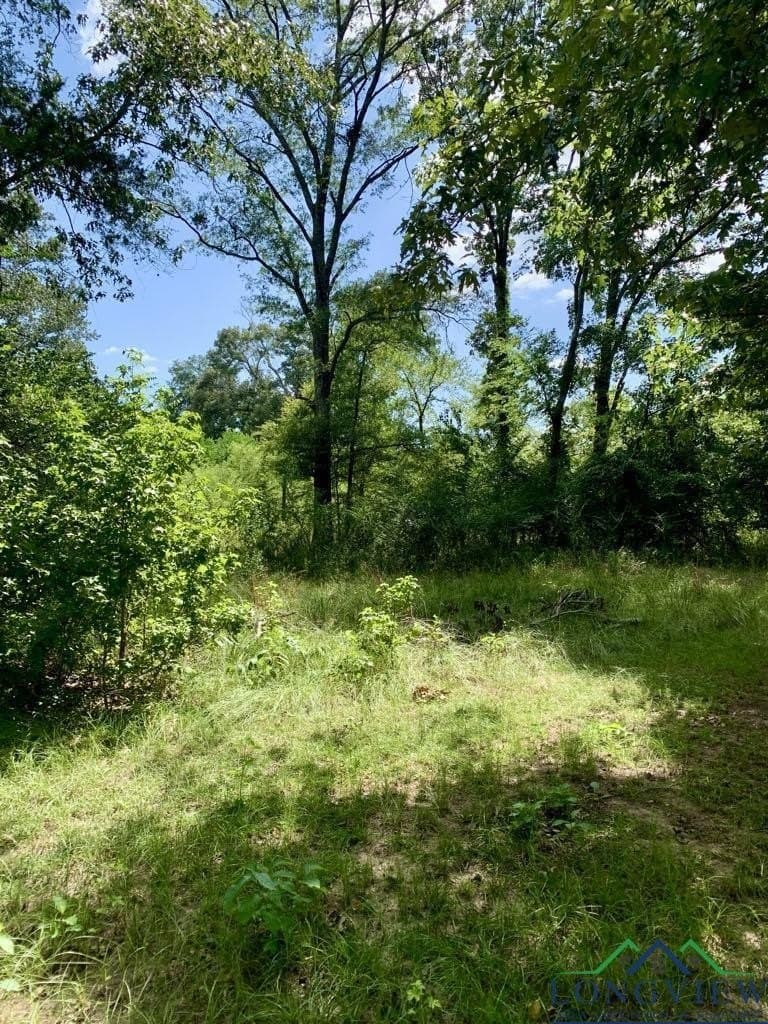 5.31 acres in Harrison County - photo 4